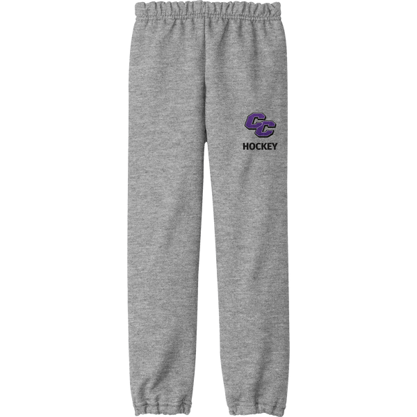 Curry College Youth Heavy Blend Sweatpant