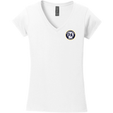 PA Brick Softstyle Ladies Fit V-Neck T-Shirt