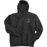 Delaware Jr. Blue Hens Ultimate Cotton - Pullover Hooded Sweatshirt